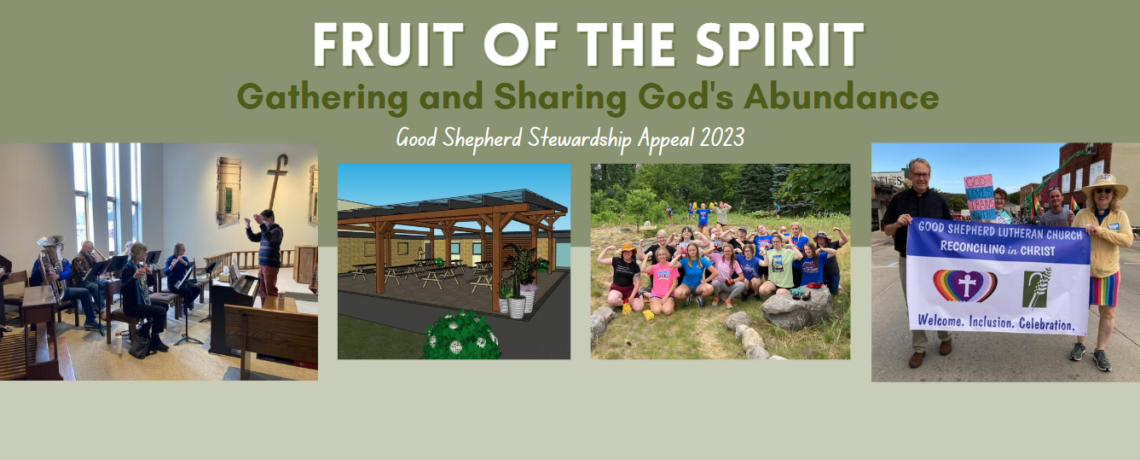Stewardship Appeal 2023